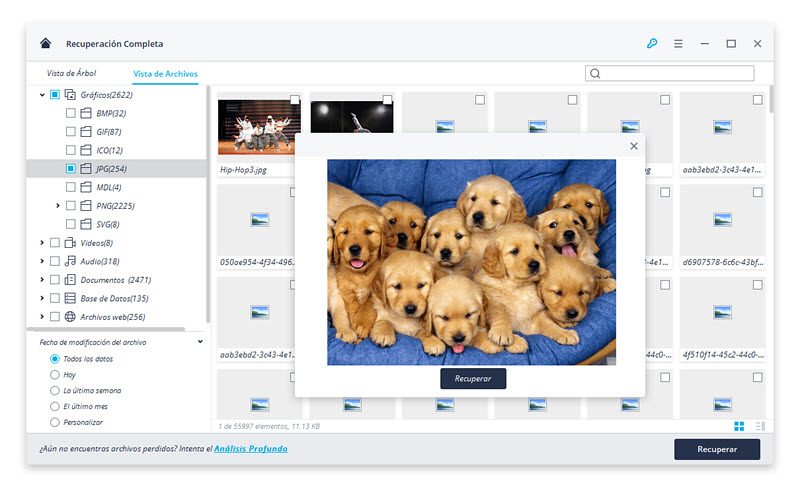 preview recovered files from recycle bin